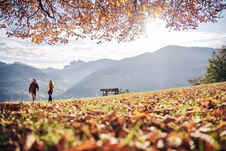 Wandern zur Törggelezeit im bunten Laub ©IDM Südtirol-Alto Adige/Manuel Ferrigato